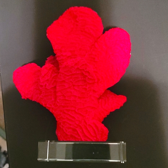 Final reduction! Bright red coral statue by ambition home - Picture 2 of 3